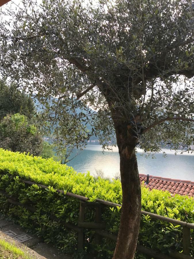 App. Monte Isola Vista Panoramica Villa Kültér fotó